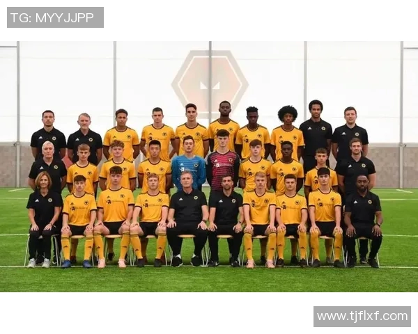 南京足球队实力揭秘：从青训到职业联赛的全景分析与展望