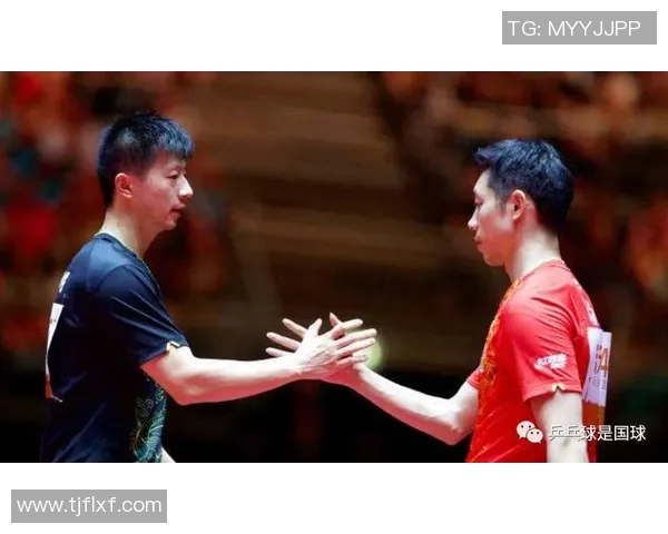 成都乒乓球队配合策略深度剖析与其他球队的对比研究