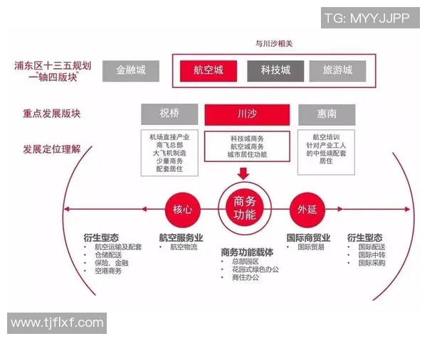 重磅专题：探索成都排球队在阵地战中的创新与发展之路