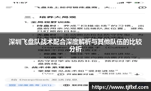 深圳飞盘队战术配合深度解析与其他队伍的比较分析