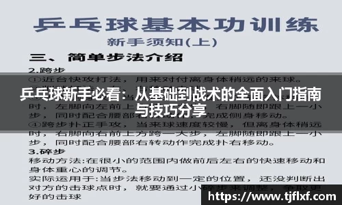 乒乓球新手必看：从基础到战术的全面入门指南与技巧分享