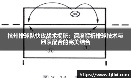 杭州排球队快攻战术揭秘：深度解析排球技术与团队配合的完美结合