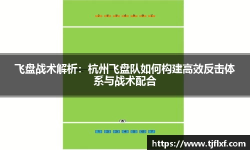 飞盘战术解析：杭州飞盘队如何构建高效反击体系与战术配合