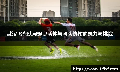 武汉飞盘队展现灵活性与团队协作的魅力与挑战